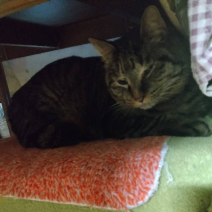 Fb9e79be 48a9 4875 8e78 9faeca590327 1709847589573