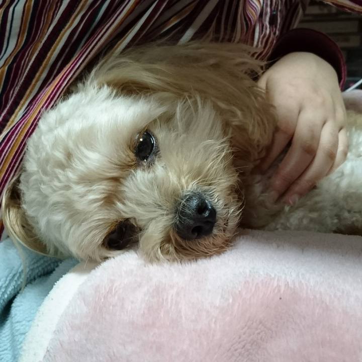 Fb9e8f82 c7fa 4e3a a87a 2f6fd0d9a65e 1508510804570