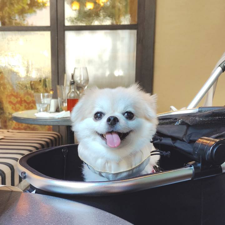 Fb9edc61 657d 4cb5 aa5f 2e820085cebf 1757856999192