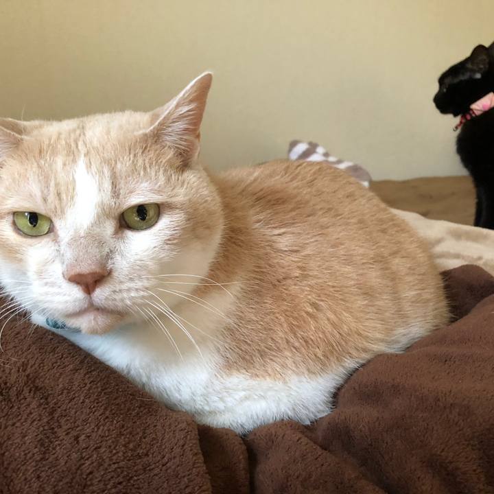 Fb9f1d32 4b03 4464 aa5f f2b240292a36 1609715957990