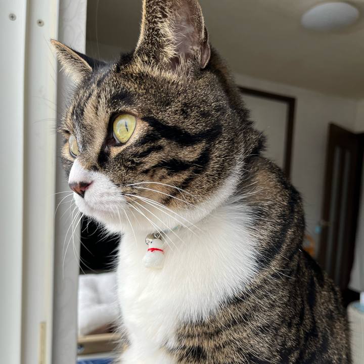 Fb9f67af f29b 4c29 9ad5 fbb007e8c754 1770592445530