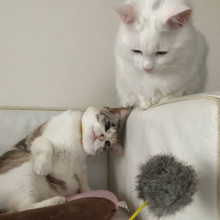 Fb9f7aca 0f34 44c8 875b d1ccf7ccb5a2 1521367363038