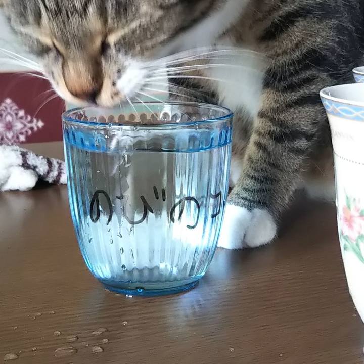 Fb9f8a8e ba95 40a3 bedb 07257184149c 1612940554266