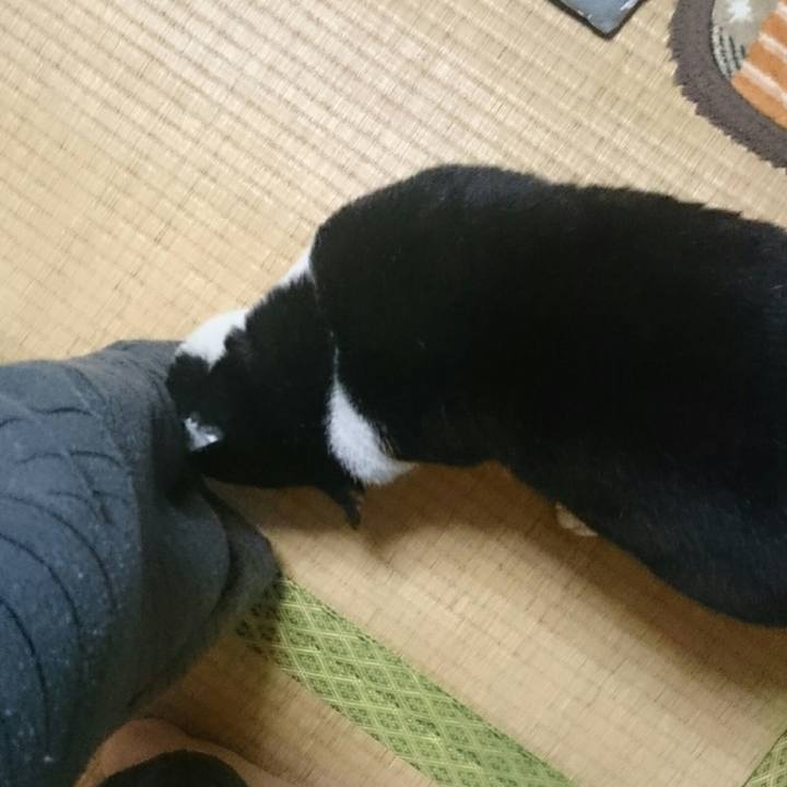 Fb9fc9de b8f8 491d 9b60 7962ac63c0d1 1525735057761