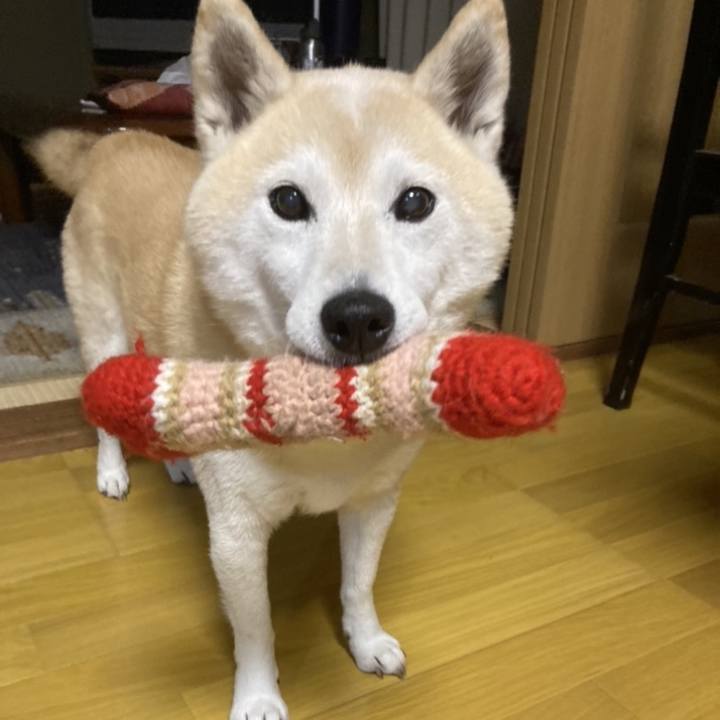 Fb9fced3 1df5 4154 b42c ff4b3aed25fe 1763968018236