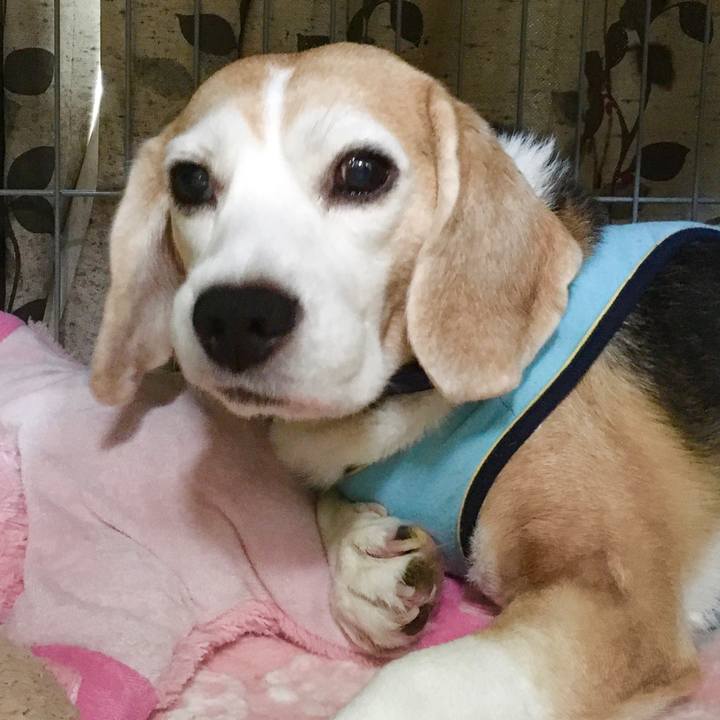 Fb9fd52c 092c 45d2 a7ad f21c4cae62b3 1571044977515