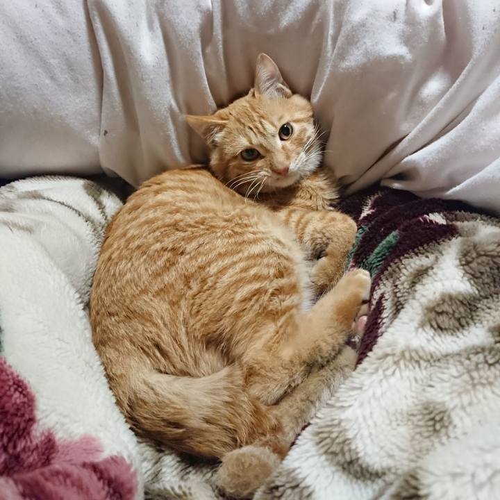 Fba06223 dce4 439b 8892 69c83480ec04 1637410415999