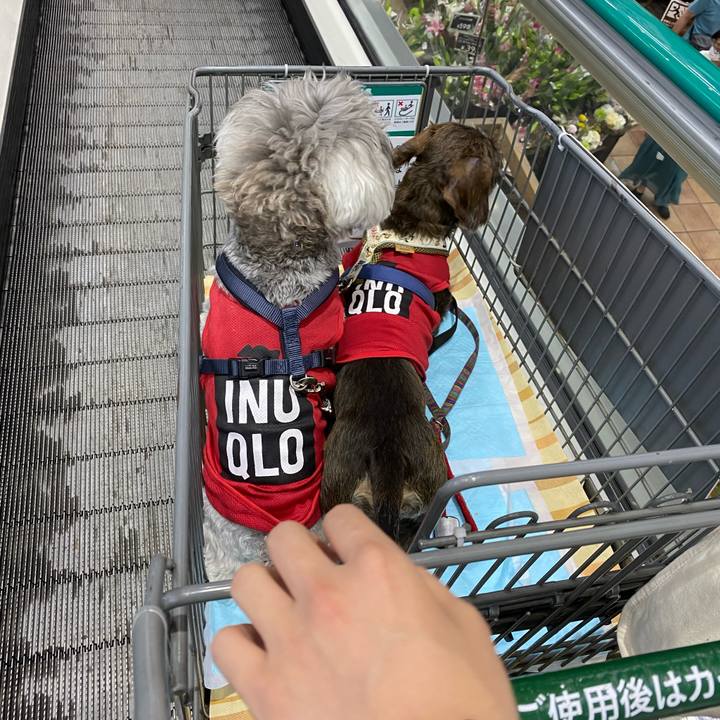 Fba07c77 b076 4b47 94a5 5a5672929c3b 1622881760311