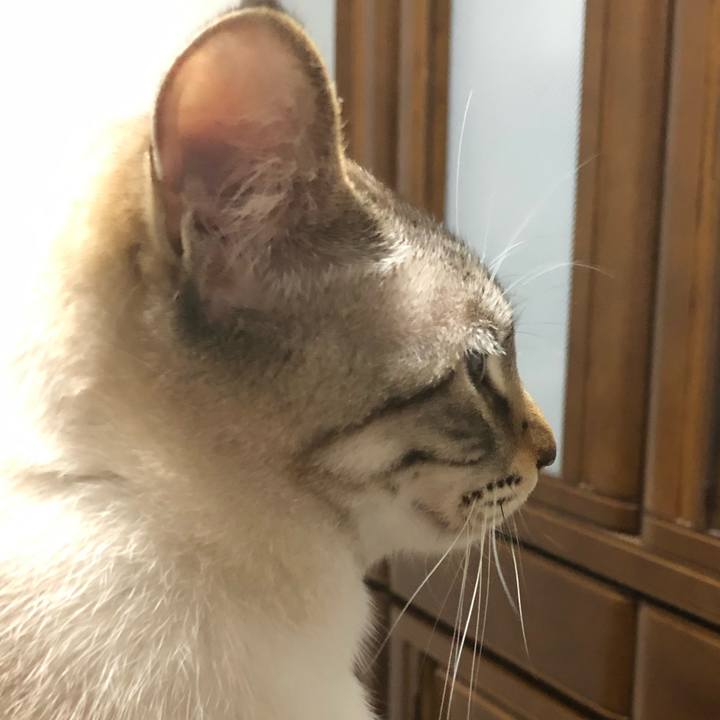 Fba087f5 530a 41af a506 cd2604710770 1652792265266