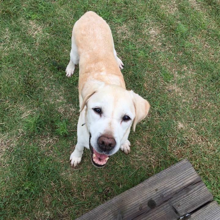 Fba08bbc 630a 4478 91b5 9a73ad8f22f6 1539743171901