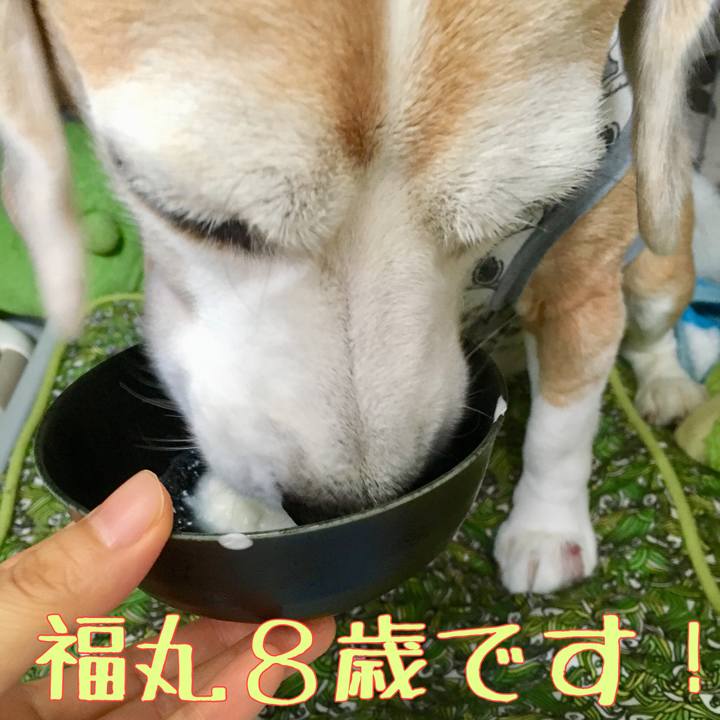 Fba0a136 d999 47e9 bbd3 b24fb25aa2ad 1538630479139