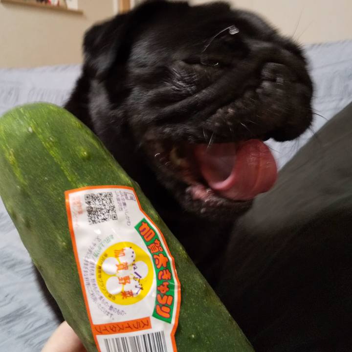 Fba0bb57 8f76 48bf 89e5 6ea14cc23067 1559036761002