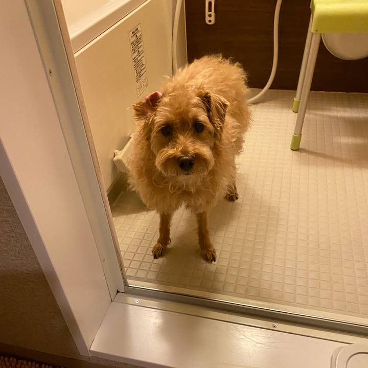 Fba0c18f be7d 4905 a002 9edf5b27446e 1660432636474