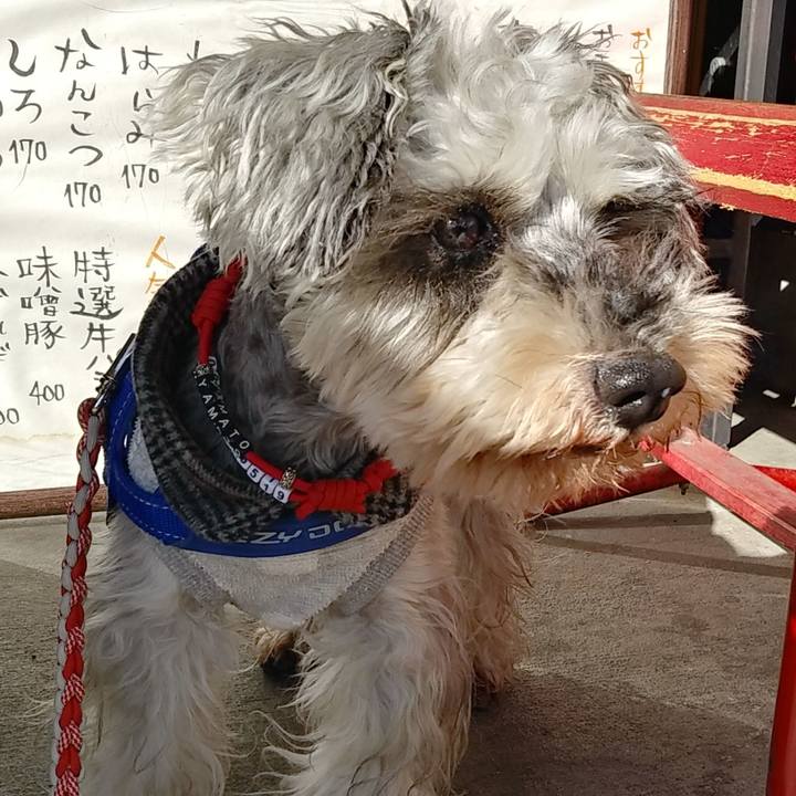 Fba0c9a4 4b7e 4562 9457 c51469506a97 1645999934661