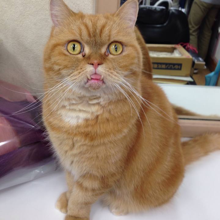 Fba0e9e1 3c83 4363 9613 cd13aaee6f50 1513296419462