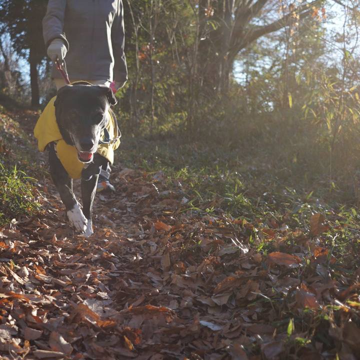 Fba0fb29 04ff 45ea bfcd 988a7f1f257d 1767661121197