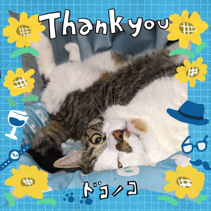 Fba17e38 755a 4e03 a31b 79482257f45d 1717631625908