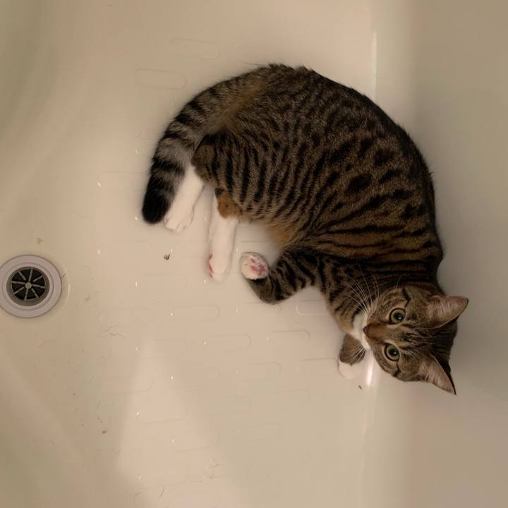 Fba1bcd1 bf33 48ad 98f4 9e7f4b633716 1545357917809