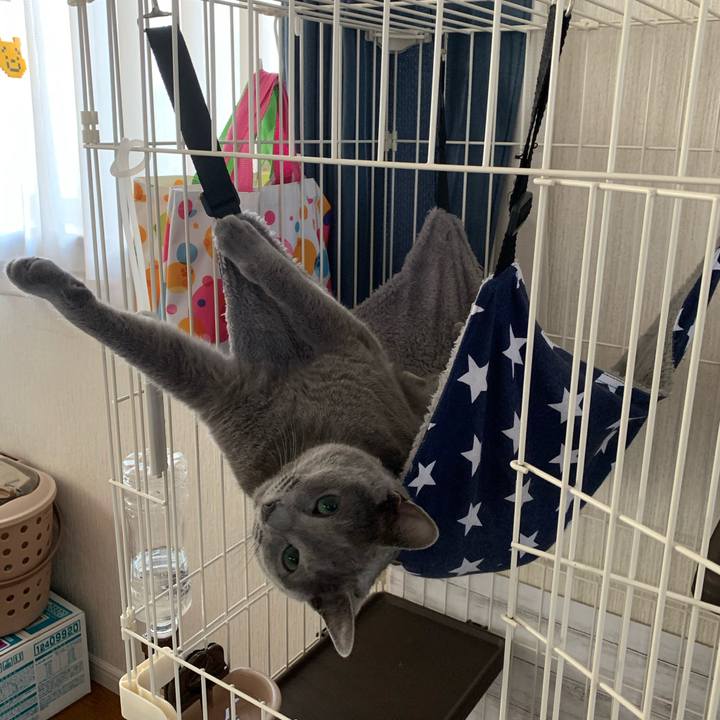 Fba1c59b 11dc 46ab 8af7 7716b1007a57 1590869975574