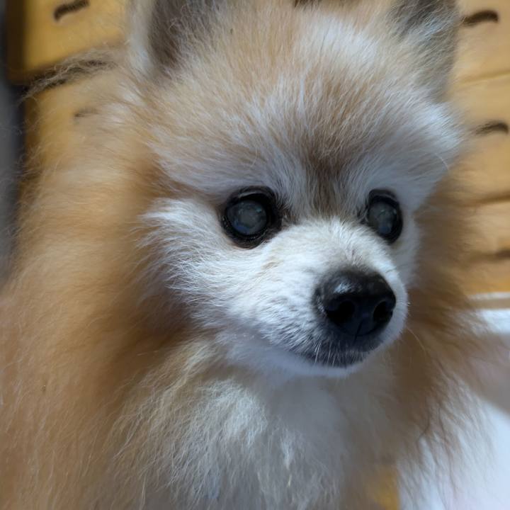 Fba1d6a2 93d3 4b0a b7f0 c743dfca00ec 1728339547517