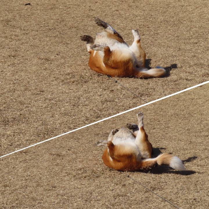 Fba259dc 227f 475d be7b 46d34e7f24a9 1646100396427