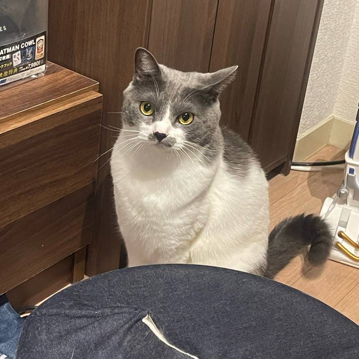 Fba2f736 192e 4a0a b66e 58c8c76ed77c 1697019162368