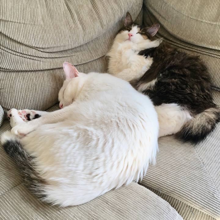 Fba3cd33 fb13 453c b0d9 4061cc3ea3d8 1519786684868