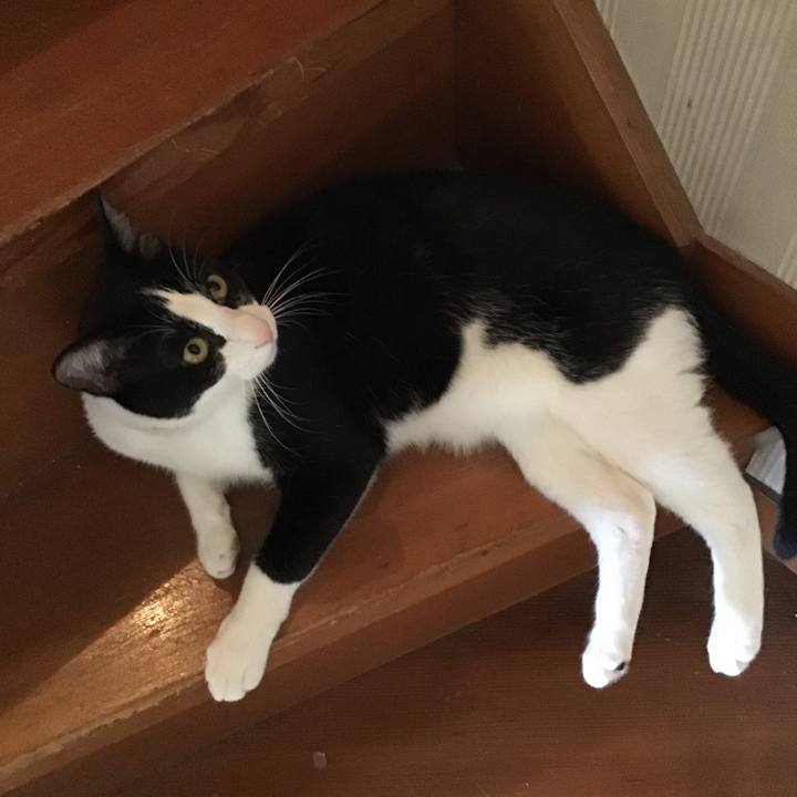 Fba3dc81 e595 4979 b447 facf086d1539 1654156925463