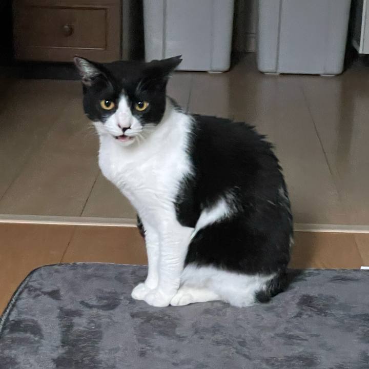 Fba48a5b 758e 4094 868d ca102375c9b6 1715854623875