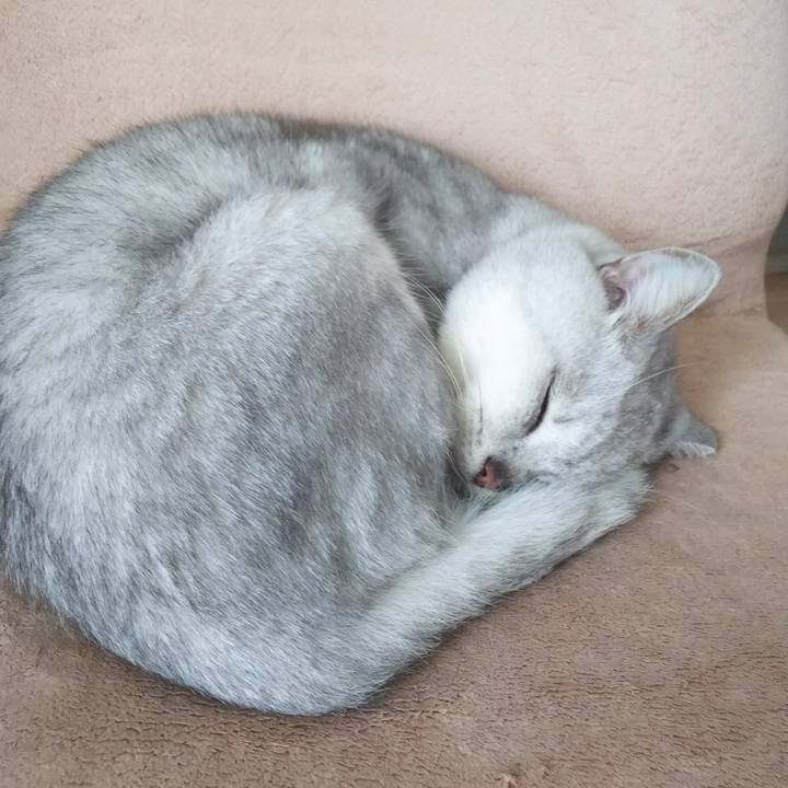 Fba491c5 135e 4fe0 85b9 85f7bf7c4d10 1541225552607