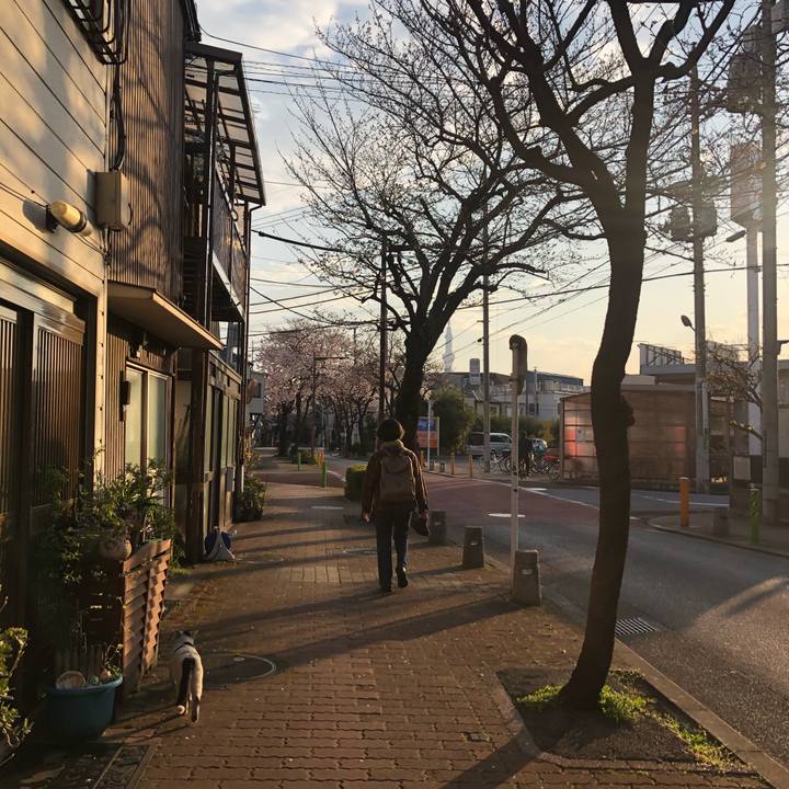 Fba4c98e c7a8 4300 a233 0445c1485070 1585410277879