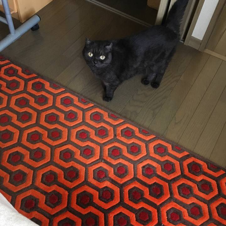 Fba4cf9b e040 49c5 b55b 7776a52c00d3 1538348835867