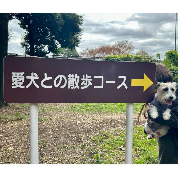 Fba4e4e2 c84f 4c7f a086 fbf7d1493901 1700916557312