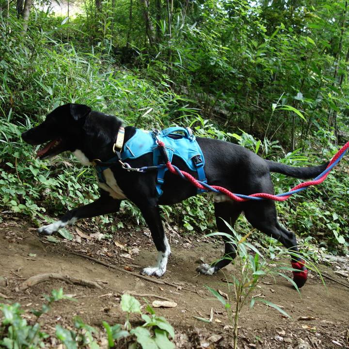 Fba4f913 7581 45a6 a0bd 732d65e64ed6 1623715690455