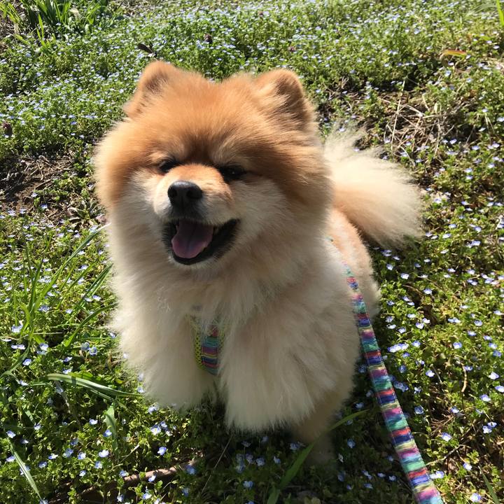 Fba5632c 15a7 49a9 aa3e ea3f7564d442 1520992897050