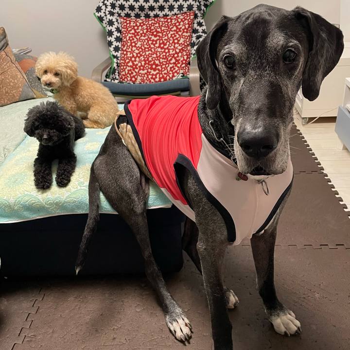 Fba56483 bd58 4b0b 84c1 c1976b41d943 1631573305454