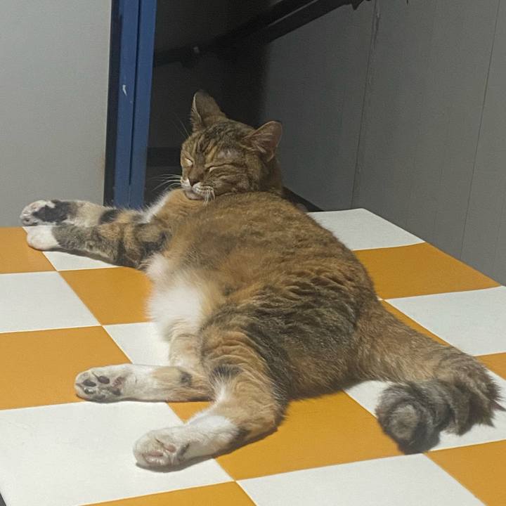 Fba5e7bc d7ac 4ff3 94b3 d23c9fef564b 1721575735142