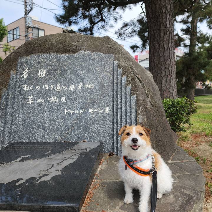 Fba5f1d6 21e9 4e44 8776 37bdd8897bd6 1654417194023