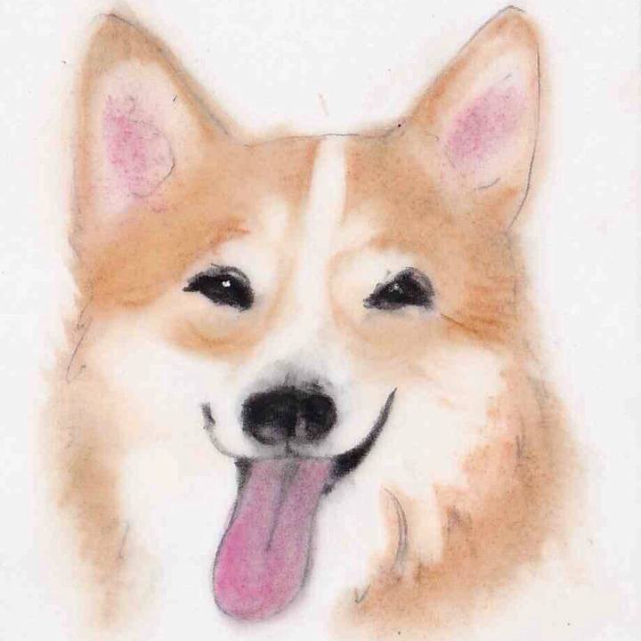 Fba5f3a7 6701 4fc6 a3e7 52112d1446a7 1632847382955