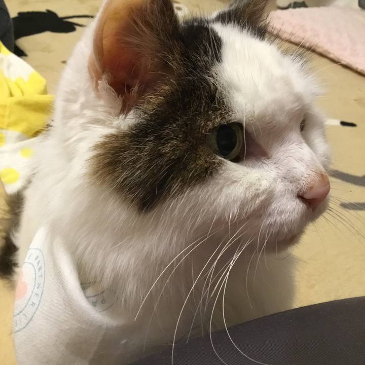 Fba60f9d 7451 467e 91fe 19cfe8250018 1575713111937