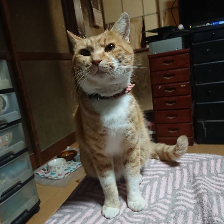 Fba61743 2741 4c3f 8571 8a14580476d8 1605642769761