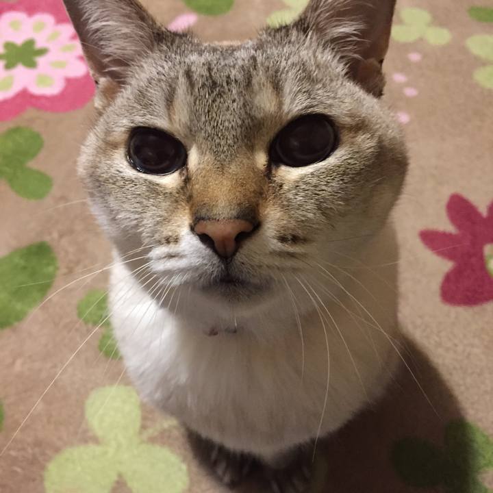 Fba63361 9dca 418e 9445 c986e187a7e5 1516014478045