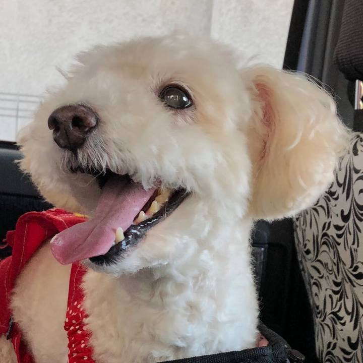 Fba65a04 238b 4020 920e 83015f0307a7 1542455331642