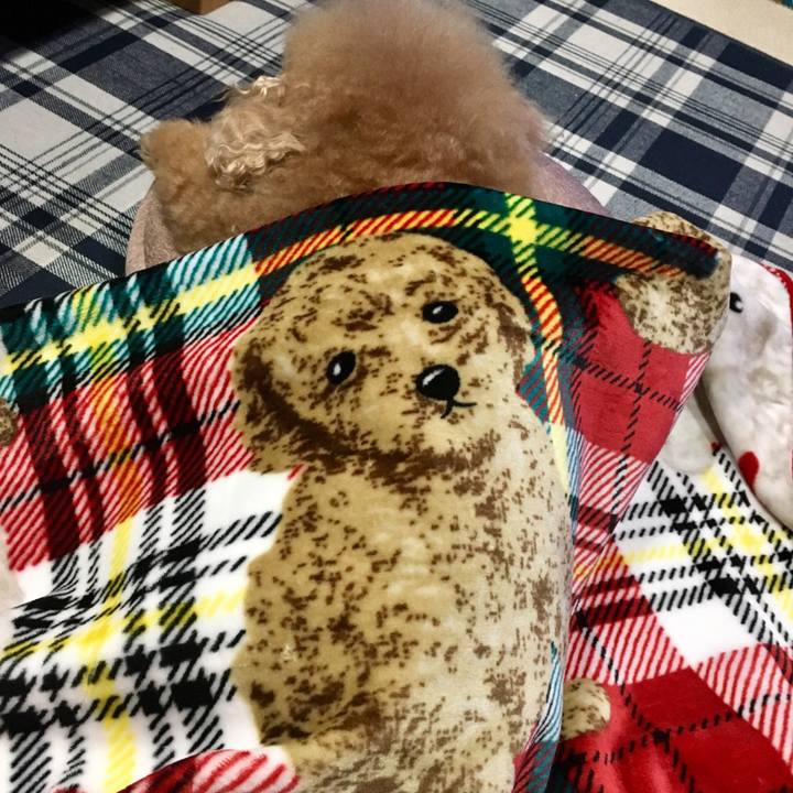 Fba6d82b 4c0f 43cf b926 16ab3c416eb2 1519124326883