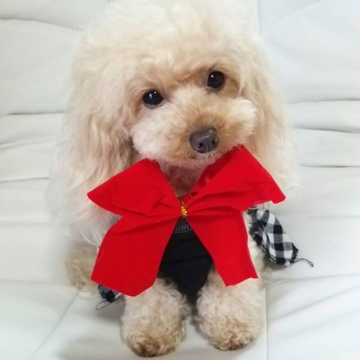 Fba6e242 7c74 4f23 ac9f f972680557ee 1542105918025