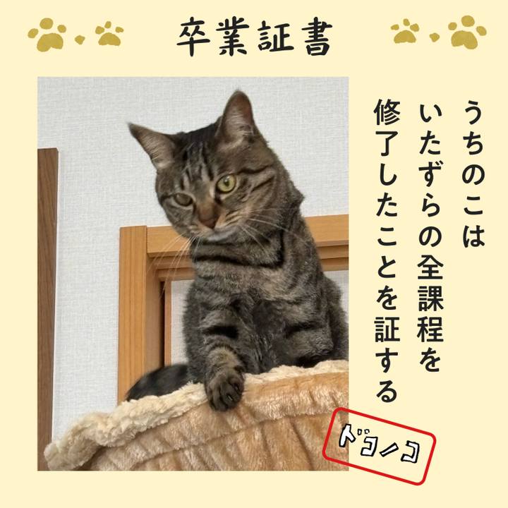 Fba6fd34 ca6e 4a63 9777 17b5cfd995de 1772334200394