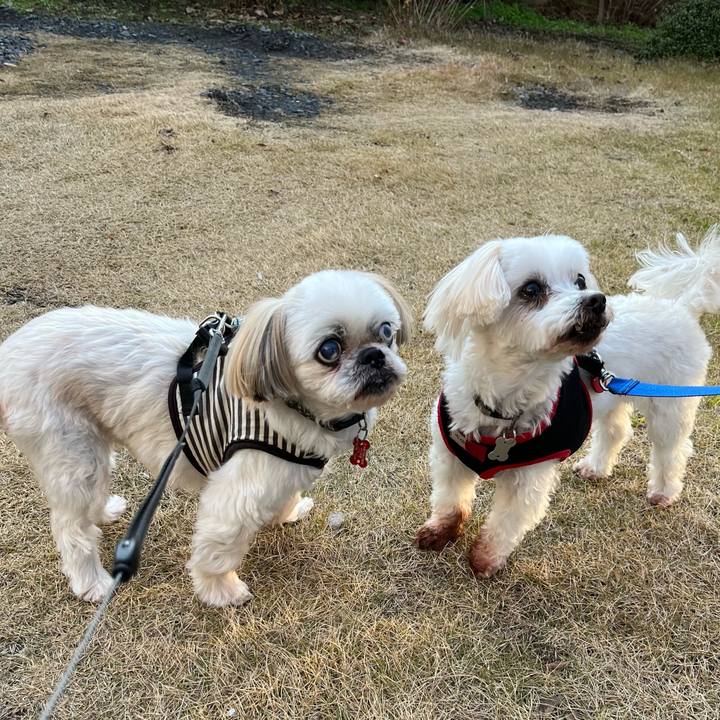 Fba7622d 0196 40d3 8cf1 c817be2ab420 1704005659125