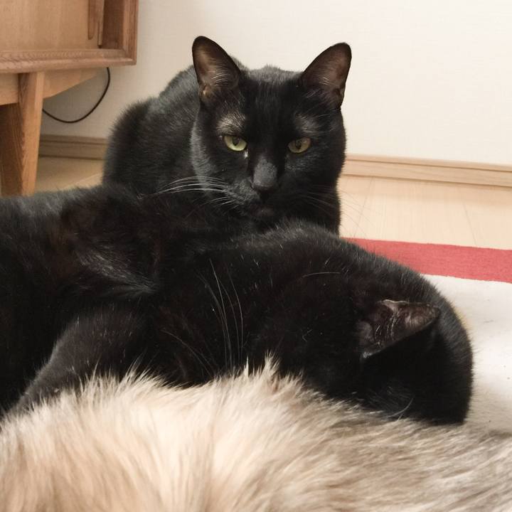 Fba81c82 8c43 4800 9a76 fbba86dd0df7 1520135603569