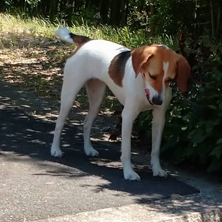 Fba8ce1c a9db 4670 b7b0 fe176eeb7455 1592282036424