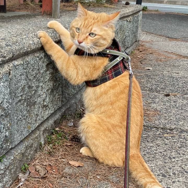 Fba8fbf0 e773 4421 9edd 36e002ce2bcf 1616237211686